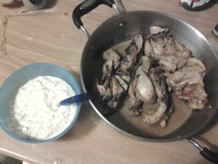 pollo